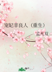 宠妃非良人(重生)