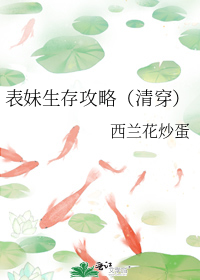表妹生存攻略(清穿)