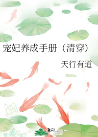 宠妃养成手册(清穿)