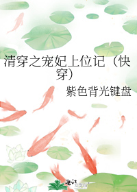 清穿之宠妃上位记(快穿)