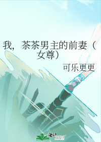 我,茶茶男主的前妻(女尊)