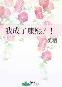 我成了康熙?!