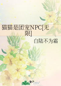 猫猫是团宠NPC[无限]