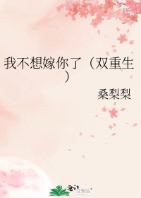 我不想嫁你了(双重生)