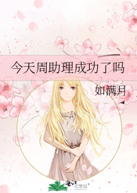 今天周助理成功了吗