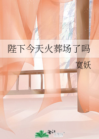 陛下今天火葬场了吗
