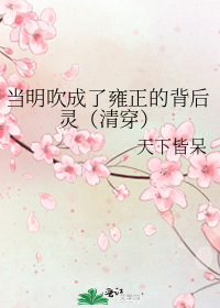 当明吹成了雍正的背后灵(清穿)