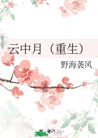 云中月(重生)