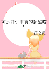 可是开机甲真的超酷哎!