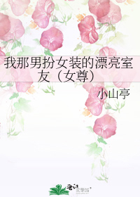 我那男扮女装的漂亮室友(女尊)