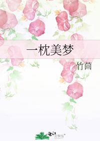 一枕美梦