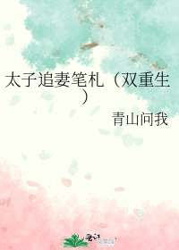 太子追妻笔札(双重生)