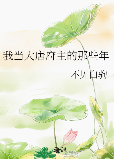 我当大唐府主的那些年