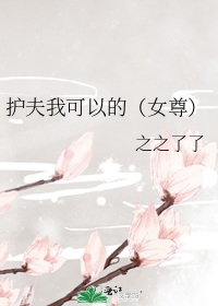 护夫我可以的(女尊)