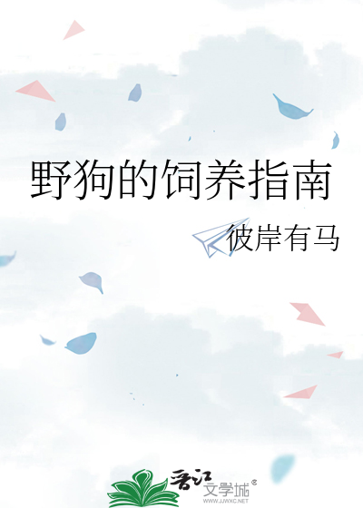 野狗的饲养指南