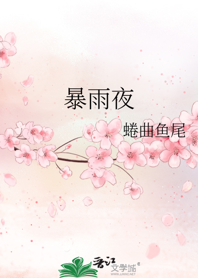 暴雨夜