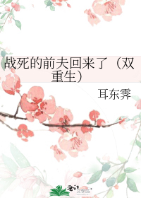 战死的前夫回来了(双重生)