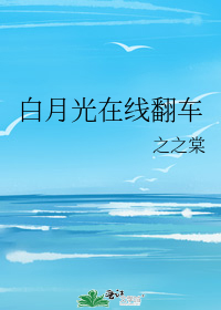白月光在线翻车