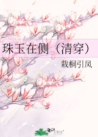 珠玉在侧(清穿)