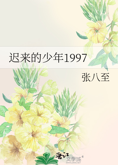 迟来的少年1997