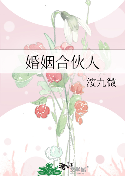 婚姻合伙人
