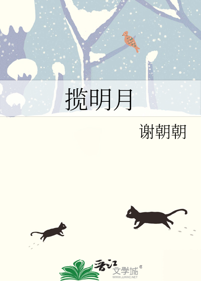 揽明月