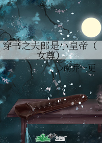 穿书之夫郎是小皇帝(女尊)