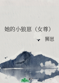 她的小狼崽(女尊)