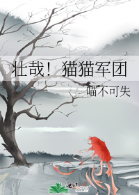 壮哉!猫猫军团