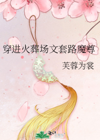 穿进火葬场文套路魔尊