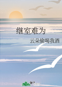 继室难为