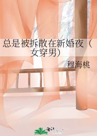 总是被拆散在新婚夜(女穿男)