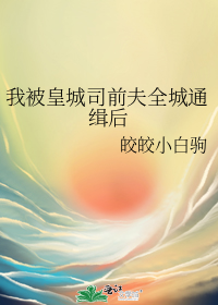 我被皇城司前夫全城通缉后