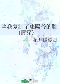 当我复制了康熙爷的脸(清穿)