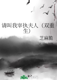 请叫我宰执夫人(双重生)