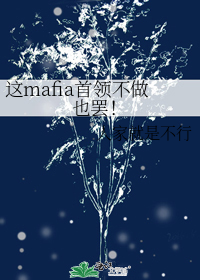 这mafia首领不做也罢!