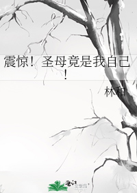 震惊!圣母竟是我自己!