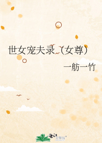 世女宠夫录(女尊)