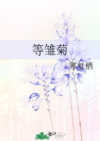 等雏菊