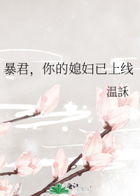 暴君,你的媳妇已上线