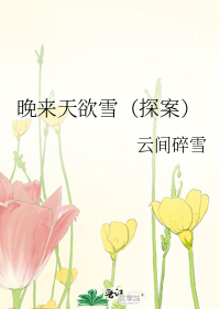 晚来天欲雪(探案)