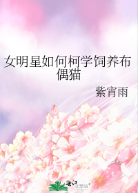女明星如何柯学饲养布偶猫