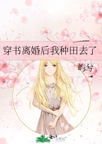 穿书离婚后我种田去了