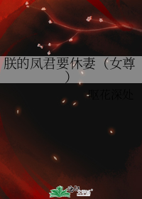 朕的凤君要休妻(女尊)
