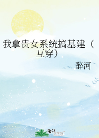 我拿贵女系统搞基建(互穿)