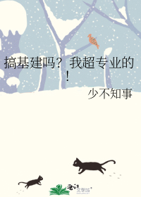 搞基建吗?我超专业的!