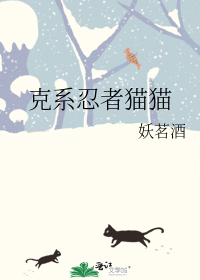 克系忍者猫猫
