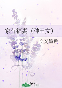 家有福妻(种田文)